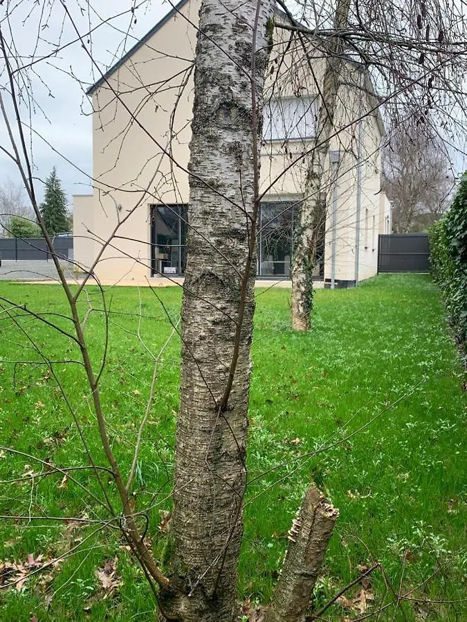 maison de charme avec jardin,pacé,proche de Rennes Сasa de vacaciones